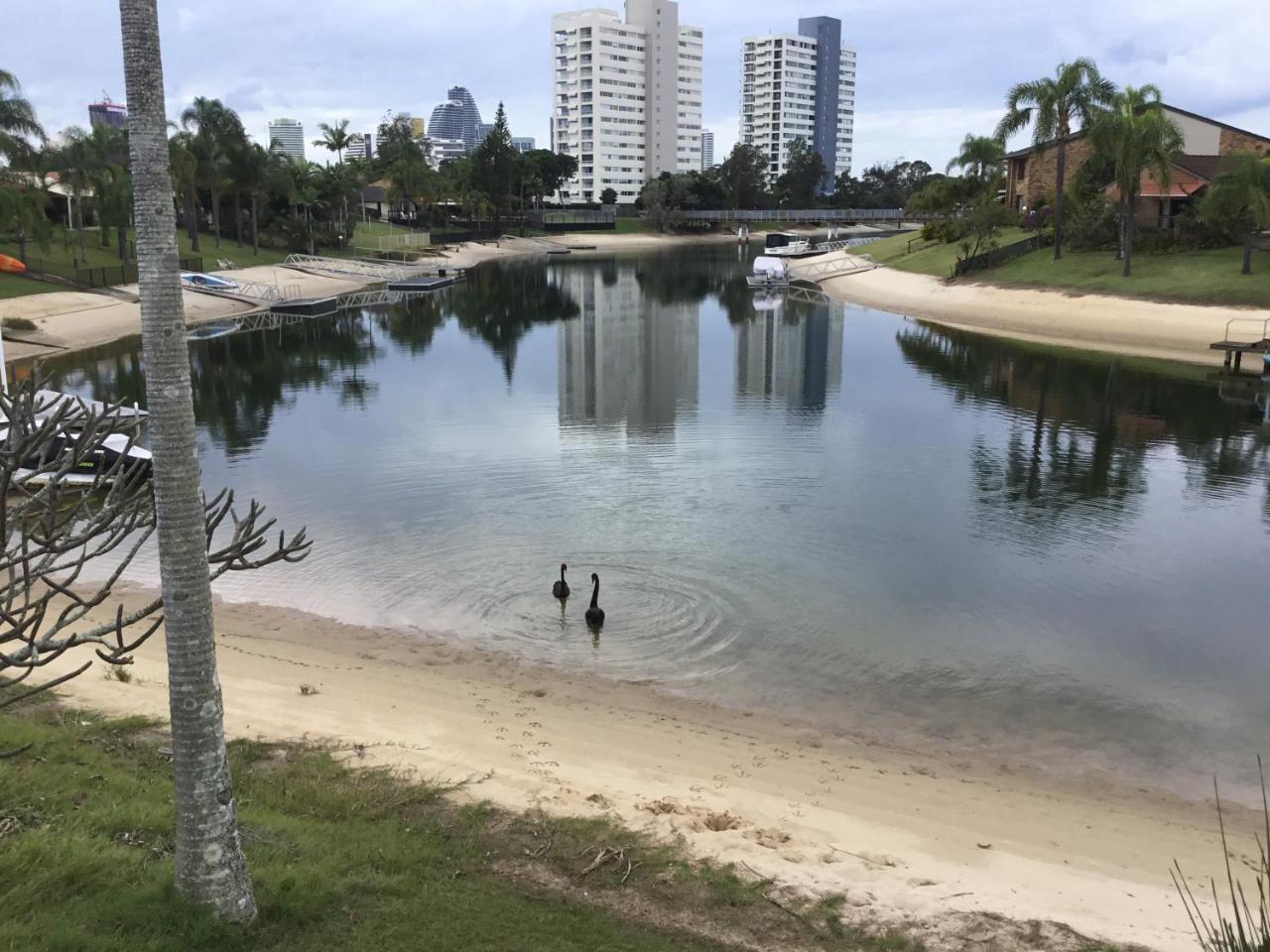 Hotel Plumosa On The Water Gold Coast Exteriér fotografie